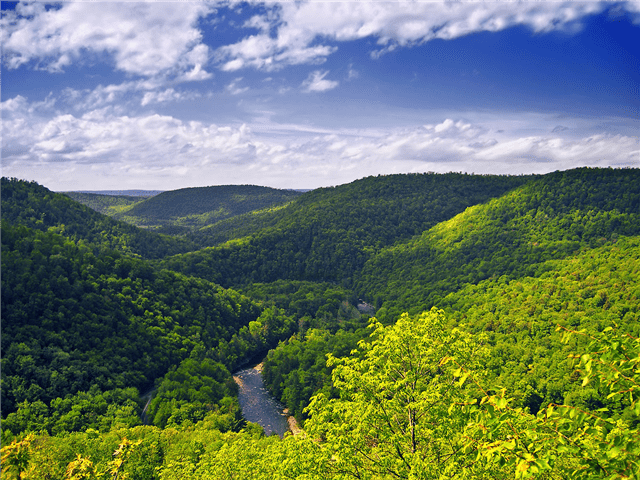 Loyalsock Canyon Vista at Forksville, PA.