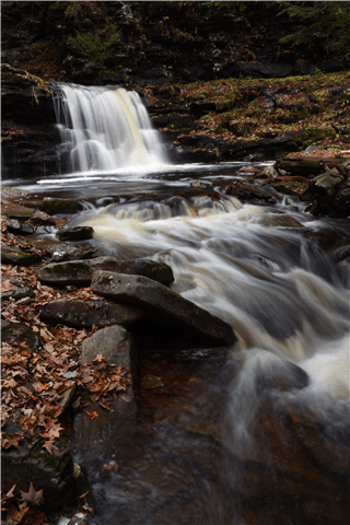 Ricketts Glen State Park