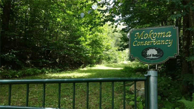 Mokoma Conservancy