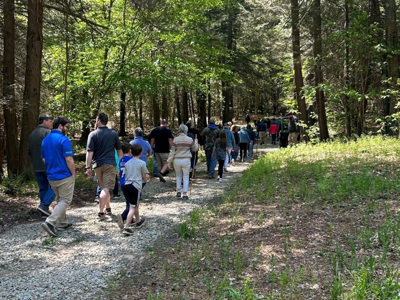 Loyalsock Foundation